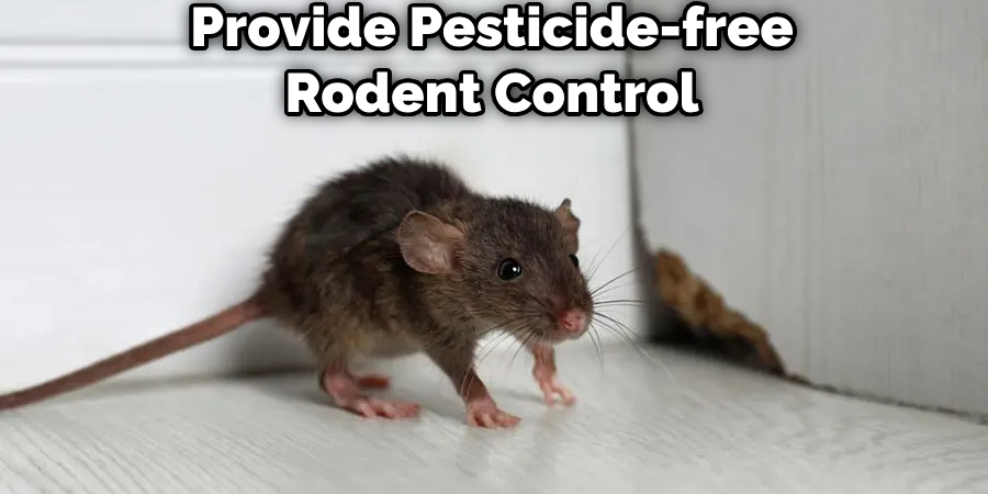 Provide Pesticide-free Rodent Control