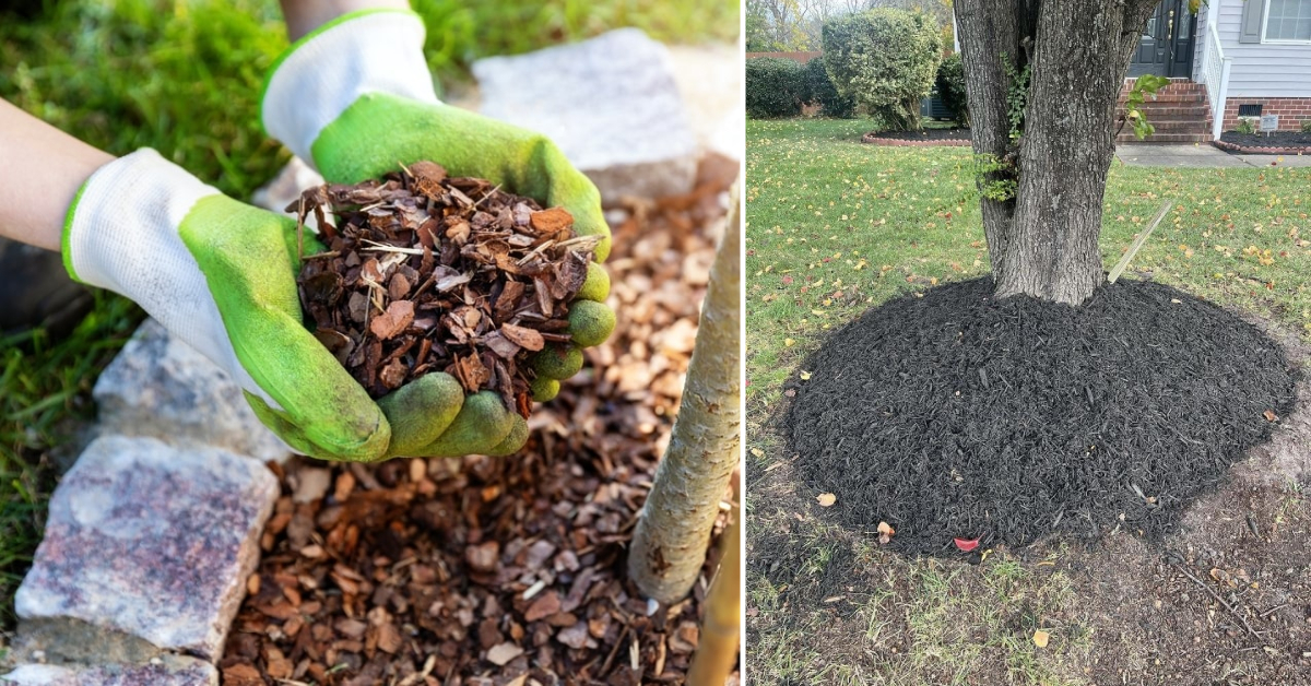 How to Use Mulch Glue