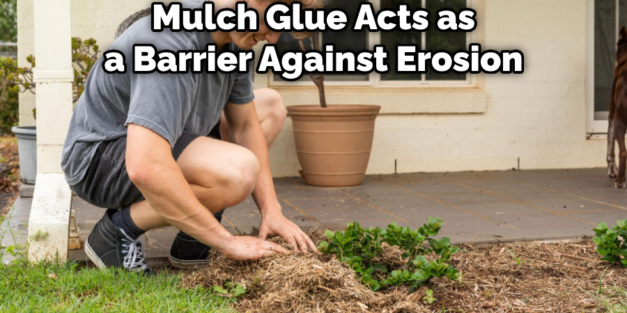 Mulch Glue Acts as a Barrier Against Erosion