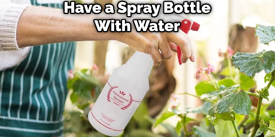 Have a Spray Bottle With Water