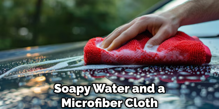 Soapy Water and a Microfiber Cloth