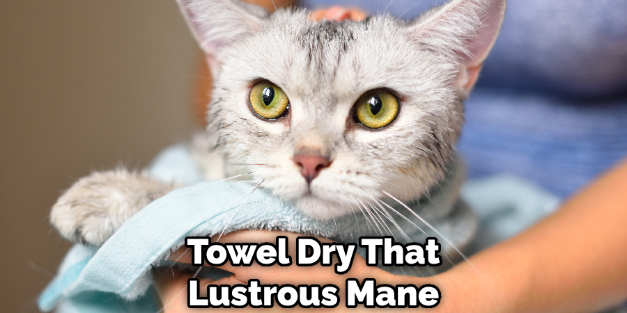 Towel Dry That Lustrous Mane